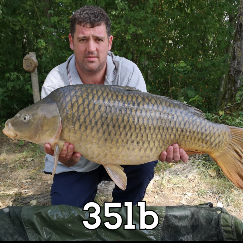 Anthony Dews 35lb common