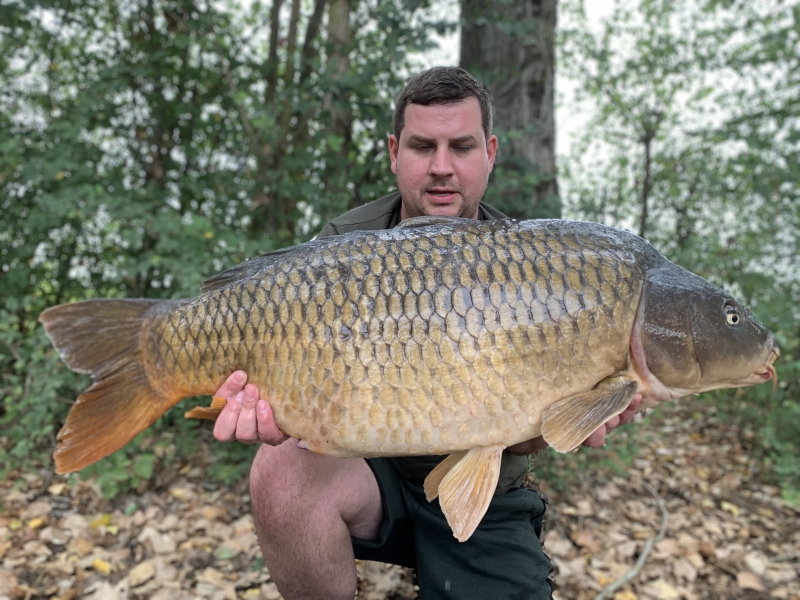 Tom Mayo 45lb