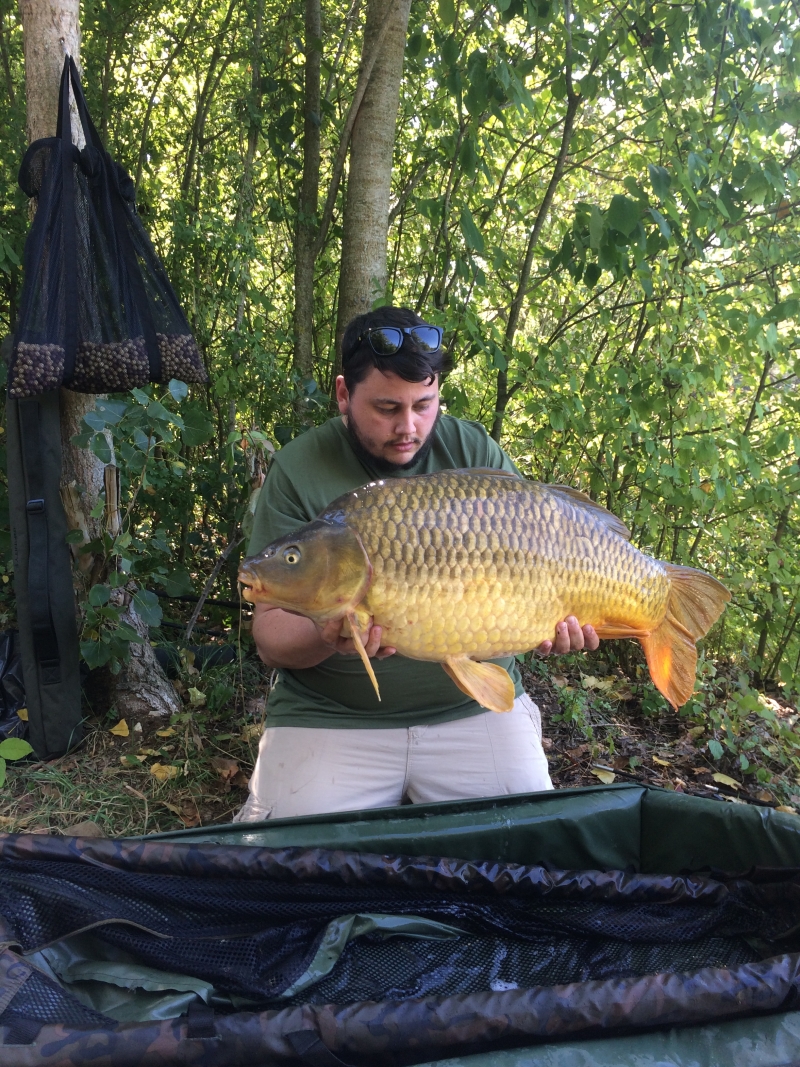 Matt Houghton 31lb