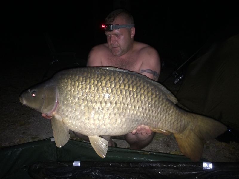 Ross Lamb 38lb 8oz