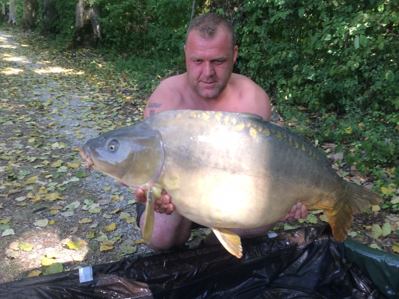 Ross Lamb 40lb