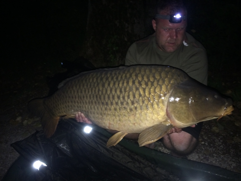 Ross Lamb 44lb