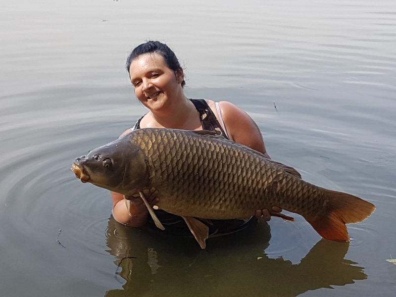 Clare 34lb 1oz