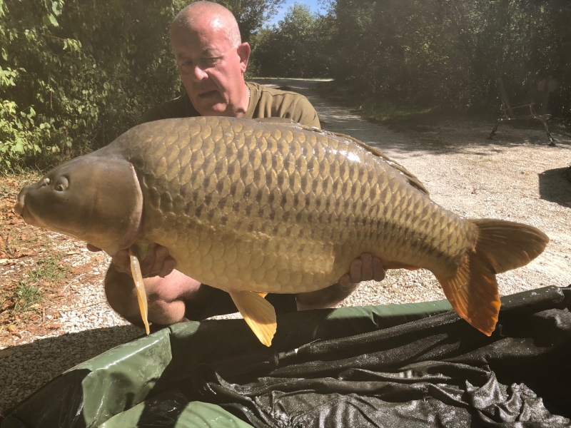 Steve Martin 45lb