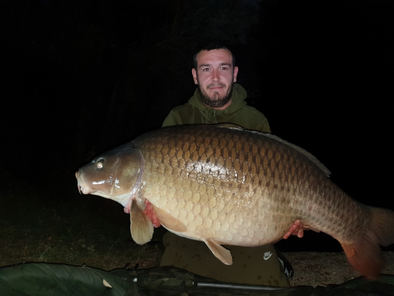 John Arthey 65lb Crippos Common