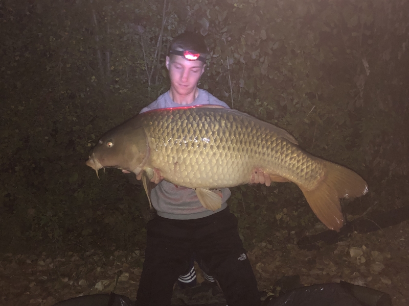 Cartlton Davis 48lb common