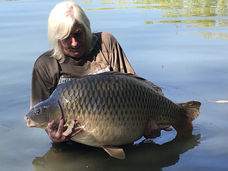 54lb 8oz