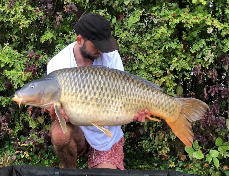 Gem 52lb 8oz