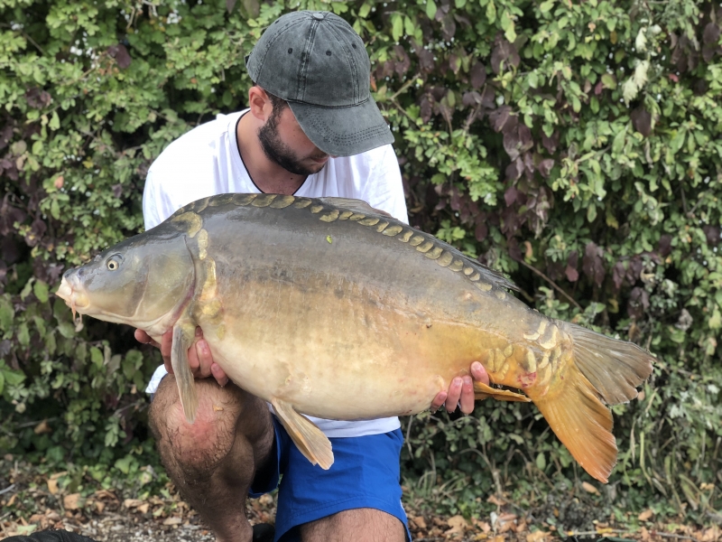 Gem Shekerzade 42lb 4oz