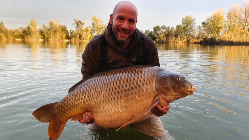 Adam Ball 72lb Box Common