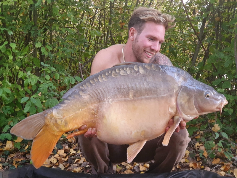 George 45lb