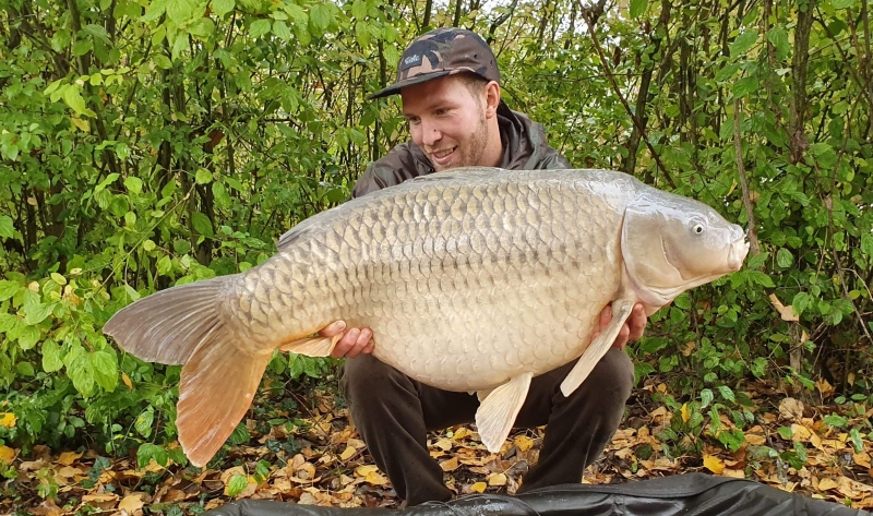 George 50lb 2oz